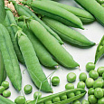 Горох Овощной Тристар